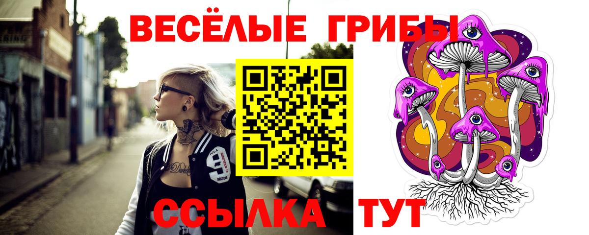 Галлюциногенные грибы MAGIC MUSHROOMS  Вход с VPN  Усолье-Сибирское  Псилоцибиновые грибы прущие грибы 